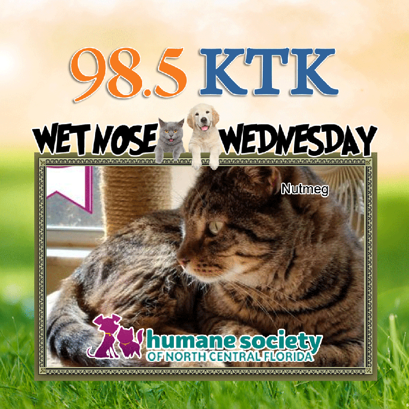 Wet Nose Wednesday-1.13.21