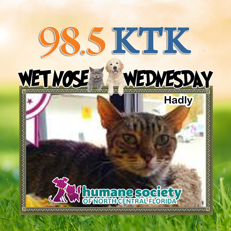 Wet Nose Wednesday Hadly 1.27.21