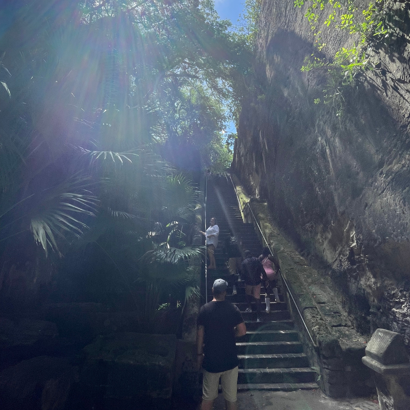 Day 2: Bill & Laura's Adventures in Nassau, Bahamas