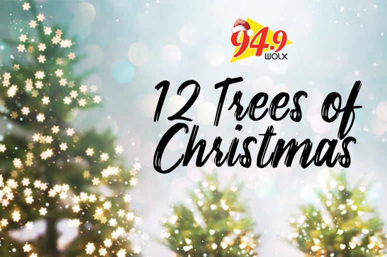 12 trees