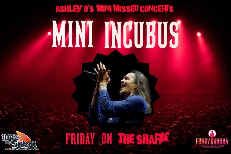 Mini Incubus FB