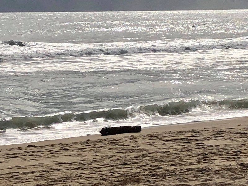 WWII bomb