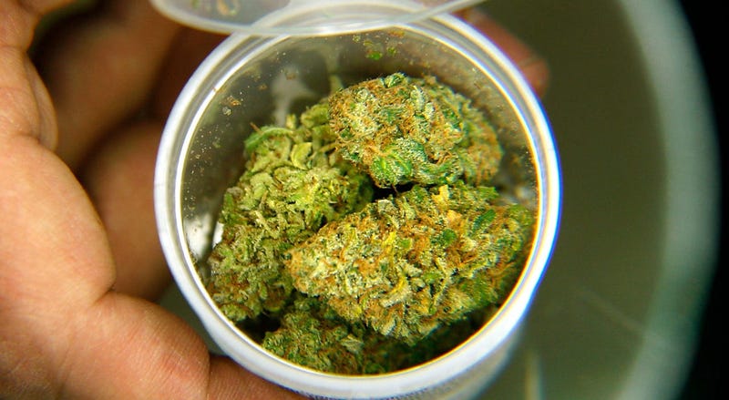 Medical Cannabis / Marijuana