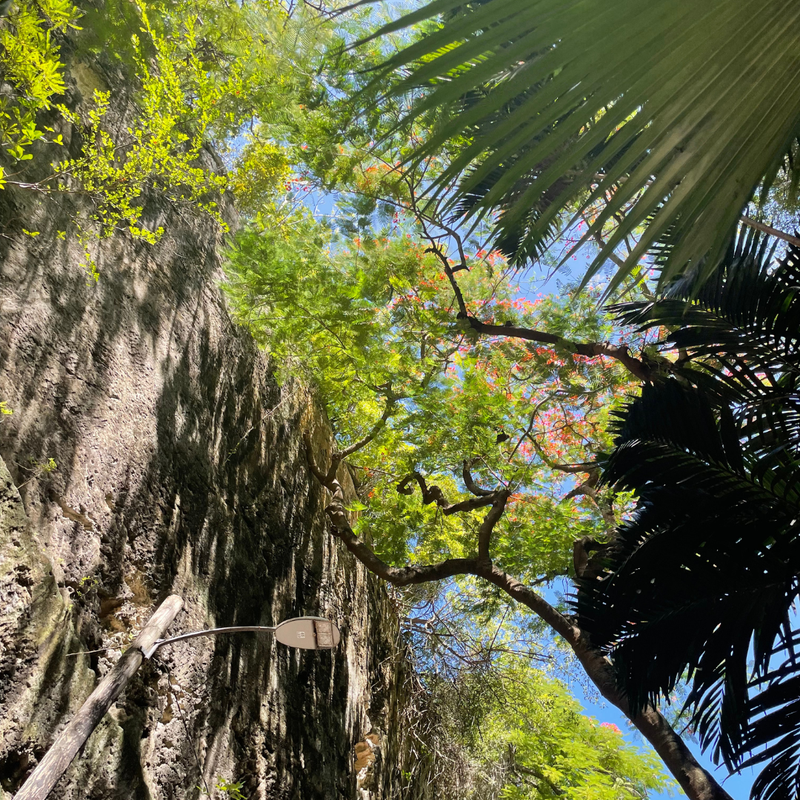 Day 2: Bill & Laura's Adventures in Nassau, Bahamas