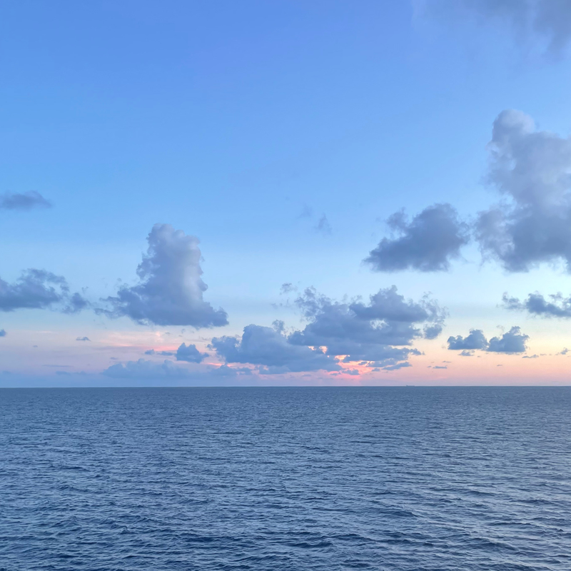 Bill & Laura's Adventures on Disney Dream