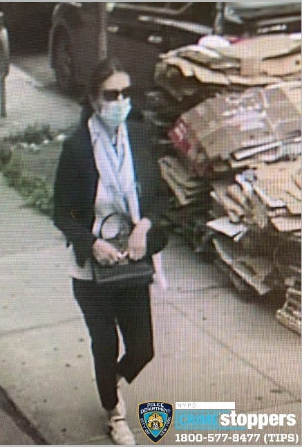 Woman sought in purse theft scheme on Brooklyn street