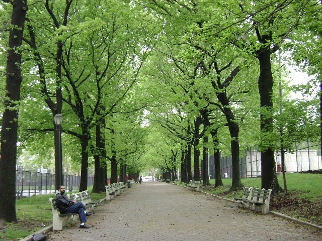 Park