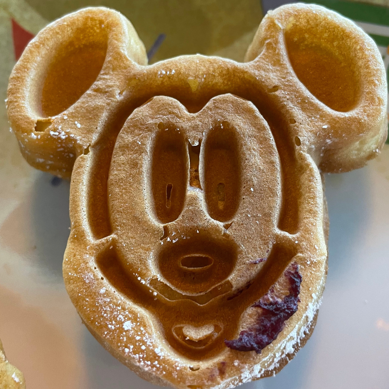 Bill & Laura's Adventures on Disney Dream