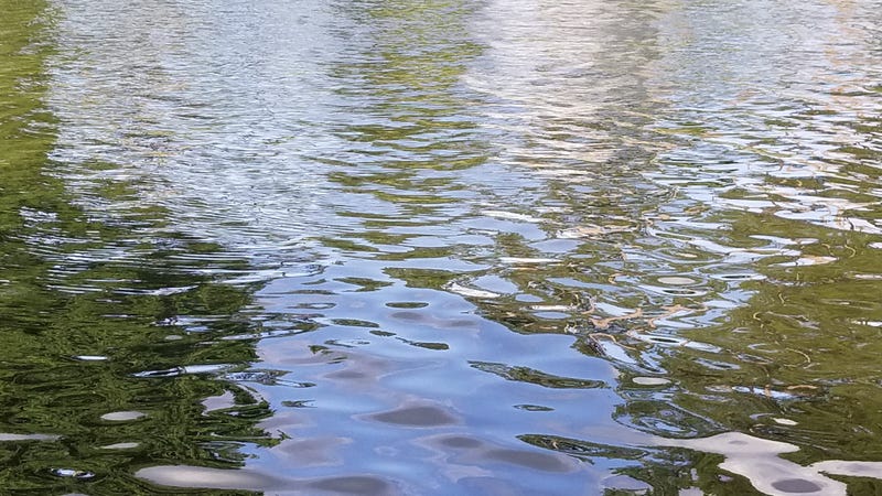 Lake Water