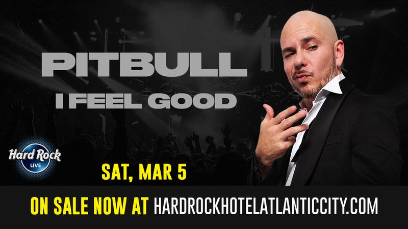 Pitbull