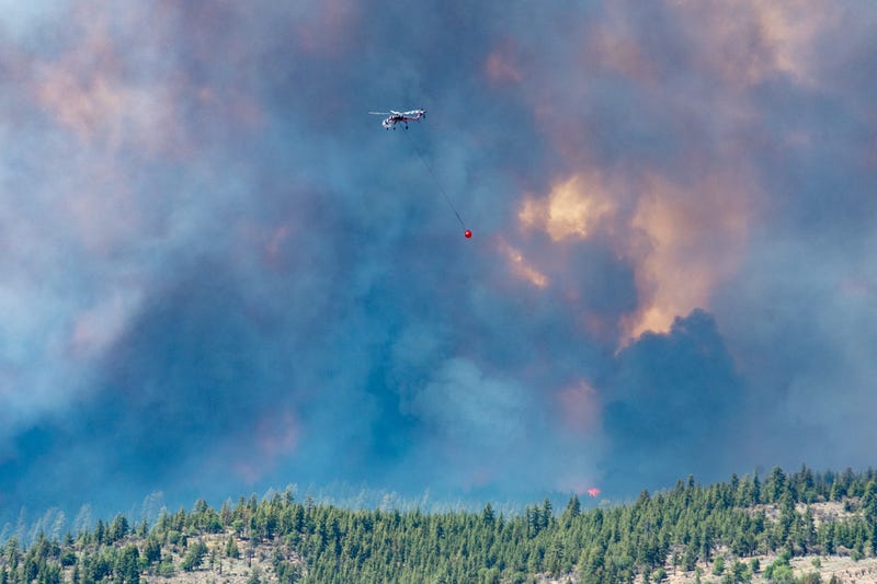 California Highway Patrolman and CalTrans employees provide road closure and safe entry and access for the firefighters and other resources in the area of the Beckwourth Complex Fire near Frenchman Lake in northern California, July 8, 2021.