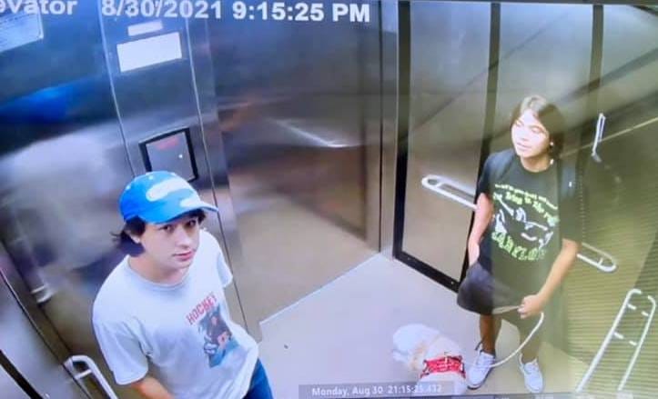 Two suspects accused of graffiti incidents in Rochester