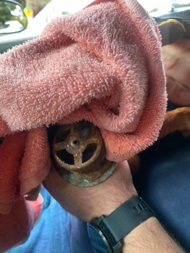 Puppy rescue