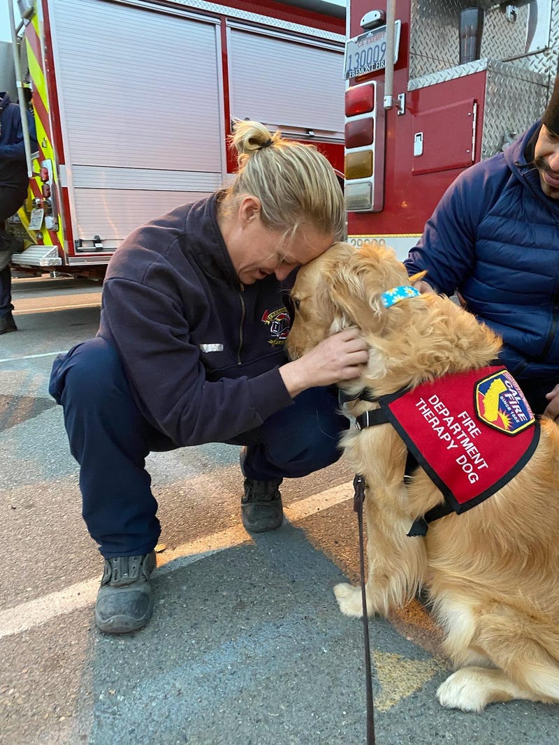 Kerith brings smiles to firefighters on the front lines of the Glass Fire.
