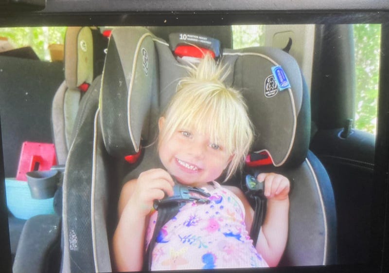 Law enforcement in the Upper Peninsula say a 3-year-old girl disappeared Thursday morning and they're now turning to fellow Michiganders for help.