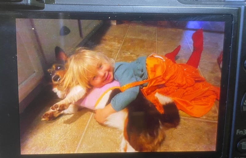 Law enforcement in the Upper Peninsula say a 3-year-old girl disappeared Thursday morning and they're now turning to fellow Michiganders for help.