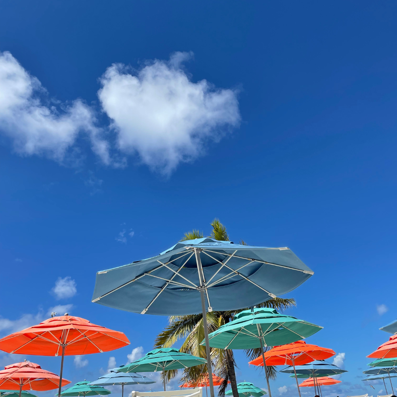 Day 3: Castaway Cay