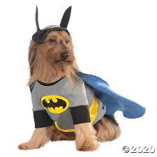 Batman dog costume
