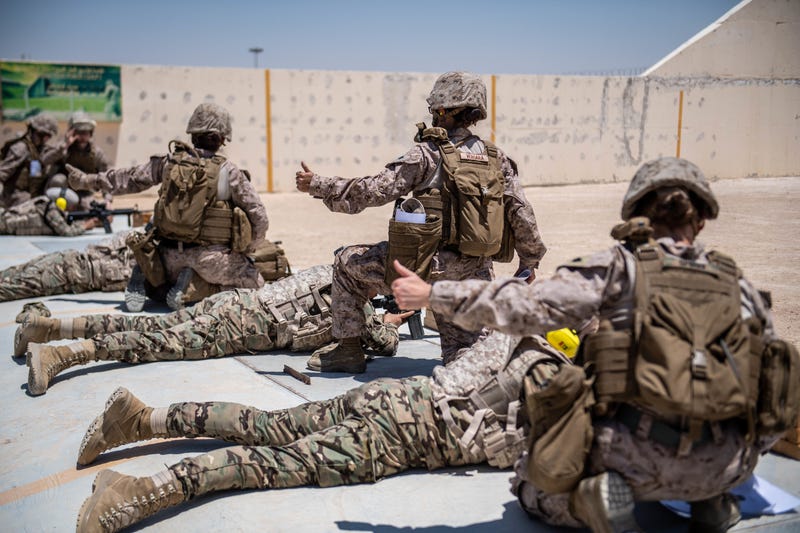 McSally, Houlahan, Introduce Breast Cancer Screening Bill for Military Women