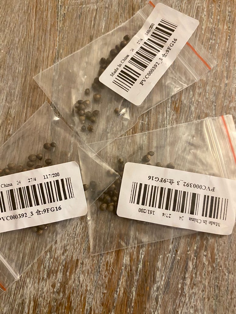Mystery seeds from China