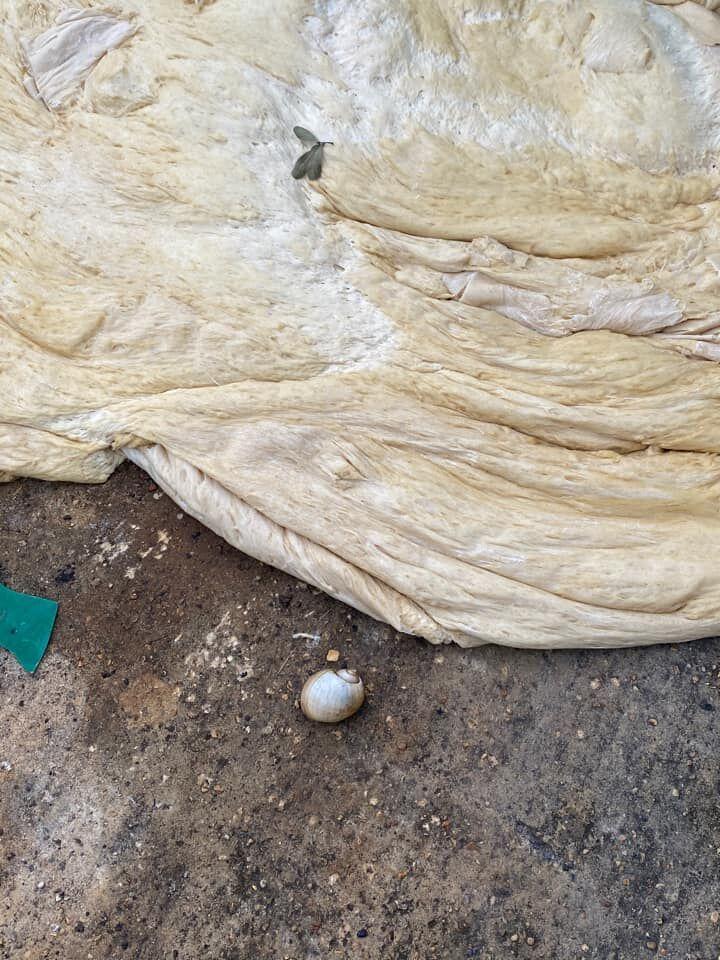 Pizza dumpster next to snail