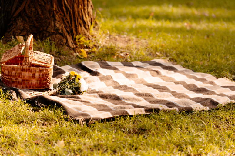 picnic blanket