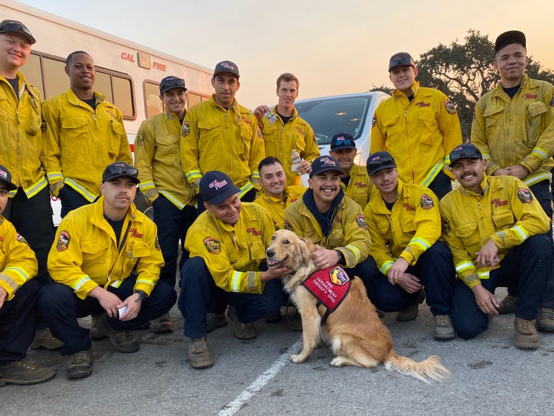 A group of CAL FIRE firefighters enjoy a moment away from the flames with Kerith.