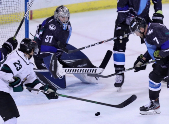 hockey players