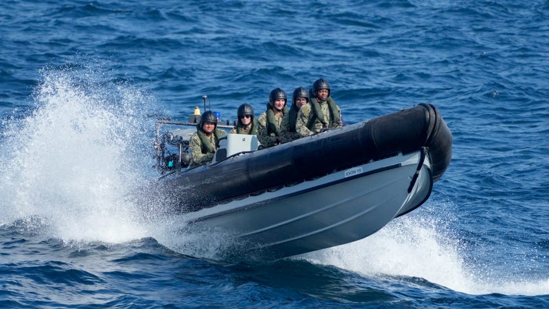 Black Sea drills showcase strong NATO-Ukraine defense ties