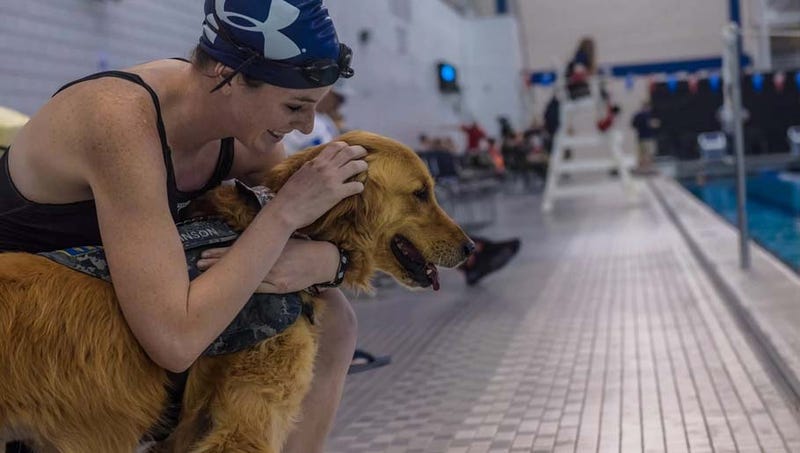 For wounded warriors, adaptive sports bring camaraderie and confidence