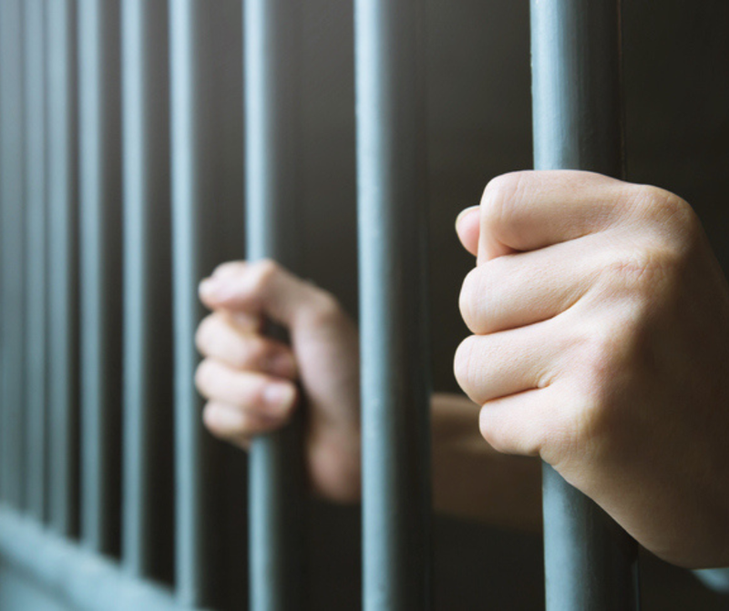 Teen Arrested on Suspicion of Stealing 2 Bulldogs at Gunpoint
