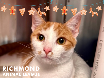 Richmond Animal League