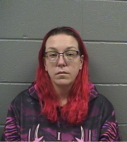 Michigan woman charged with 2003 murder of her newborn twin sons in Illinois