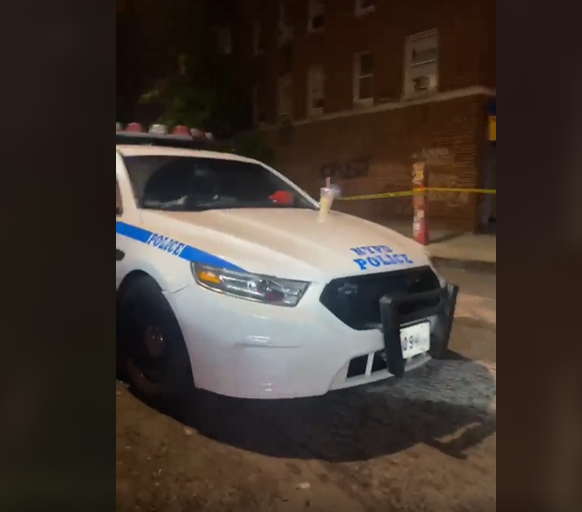 NYPD BX