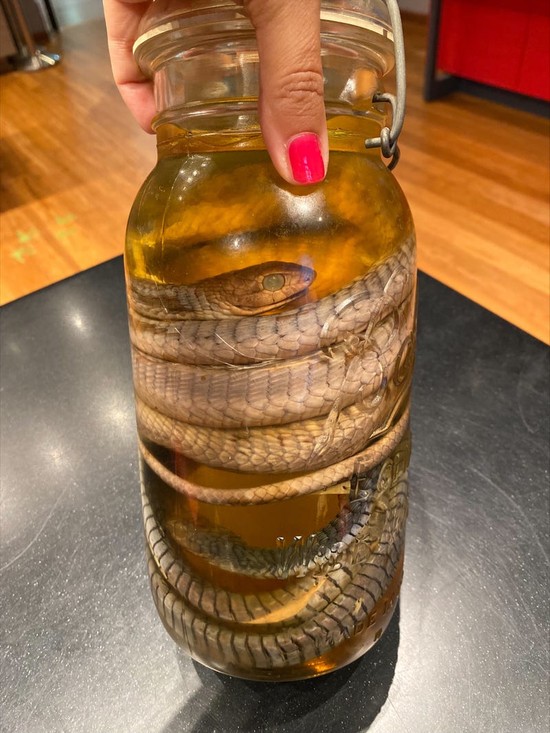 Field Museum snakes