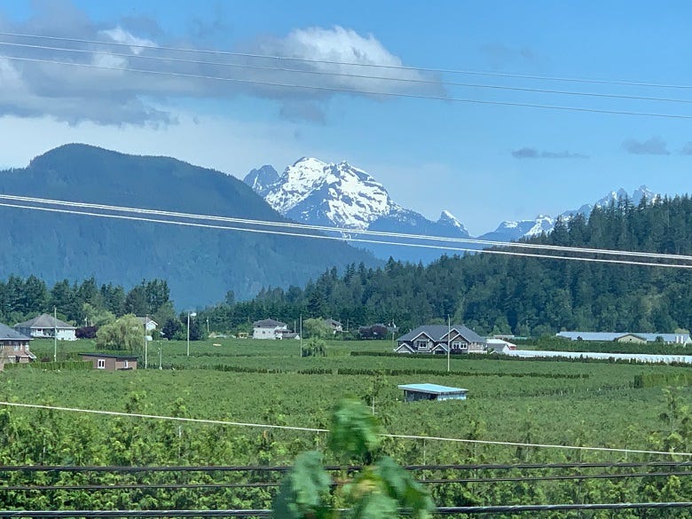 View from our train