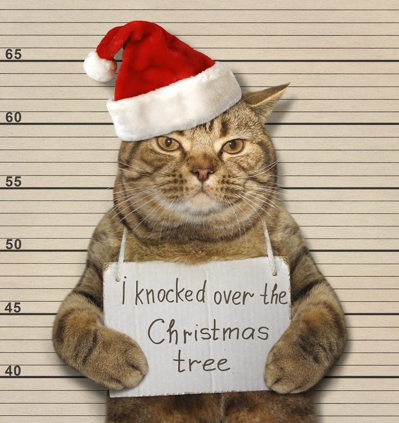 cat in a police lineup