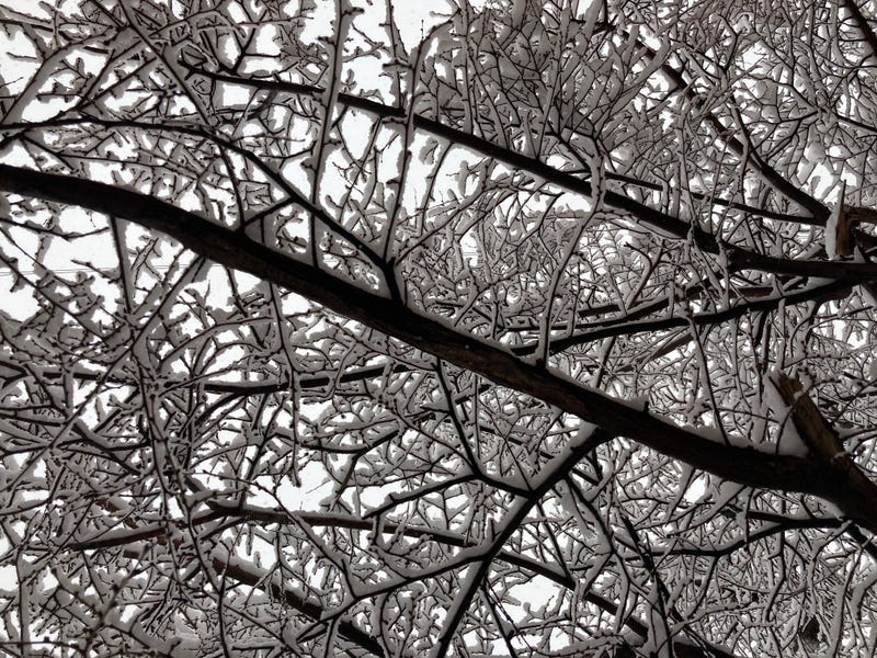 snowfall