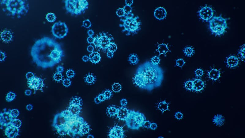 coronavirus