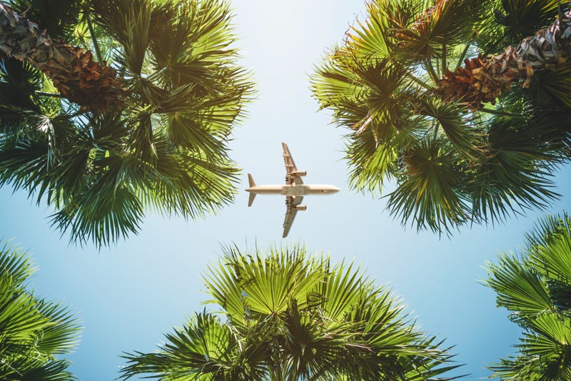 A plane passes overhead through palm trees and sunny blue sky