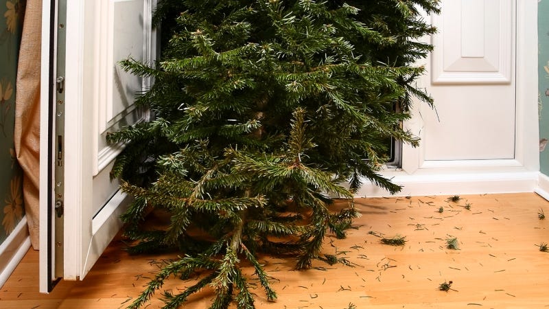 Getty images holiday trees
