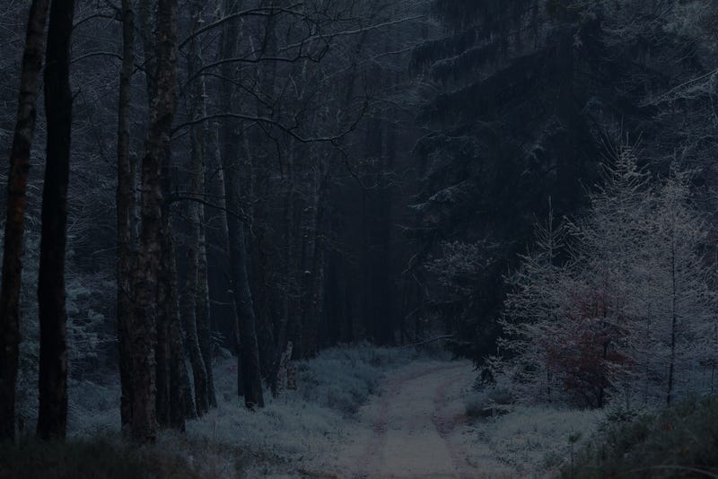Dark Snowy Road