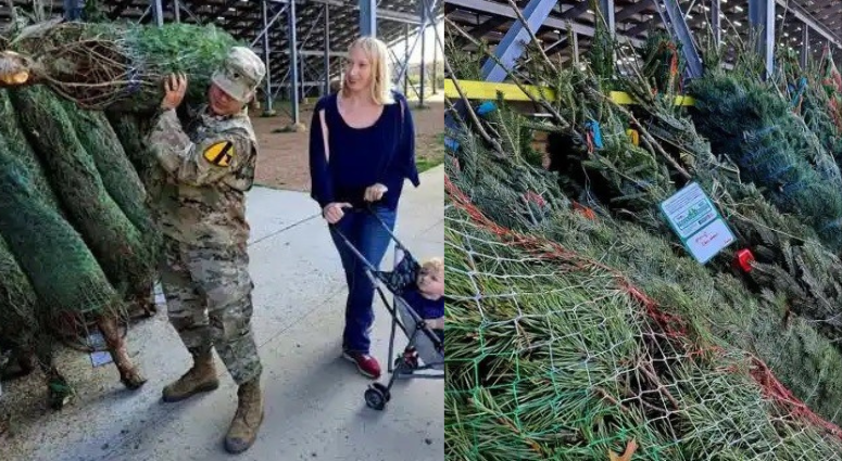 Trees for Troops deliver holiday joy Trees for Troops deliver holiday joy