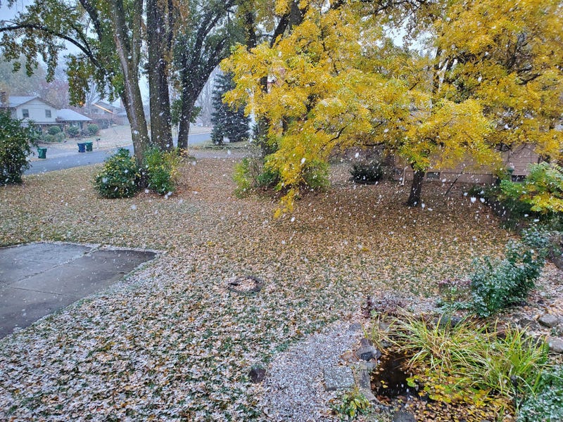 First Snow in MN in 2020