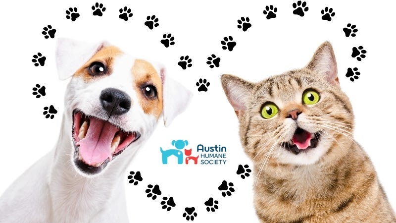 Austin Humane Society 2021 Getty Images