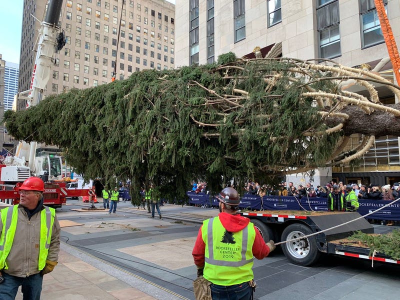 2019 Rockefeller Christmas tree