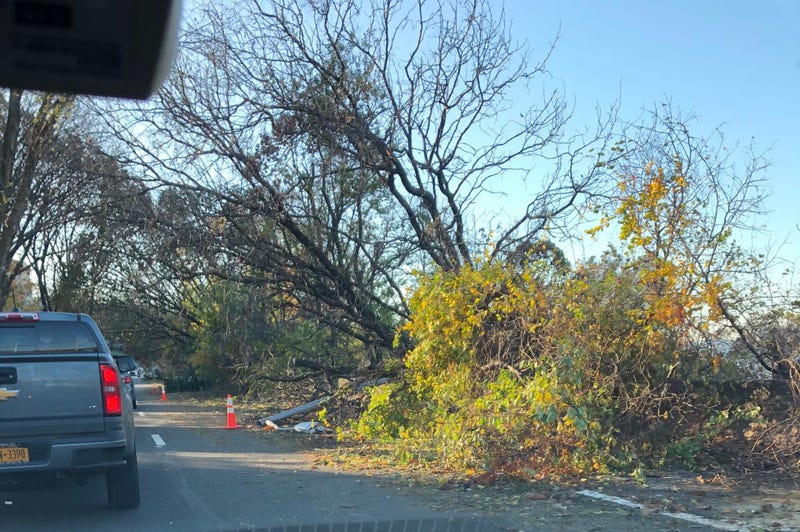 Downed trees on Henry Hudson Parkway