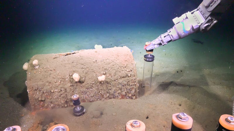 DDT dive Schmidt Ocean Institute