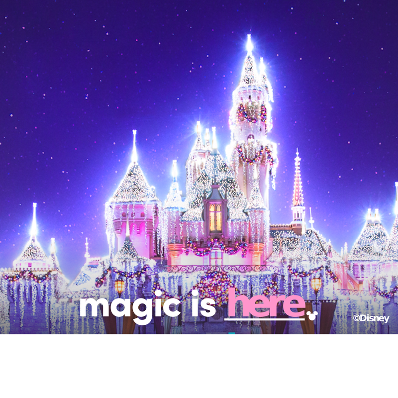 Disneyland Holiday