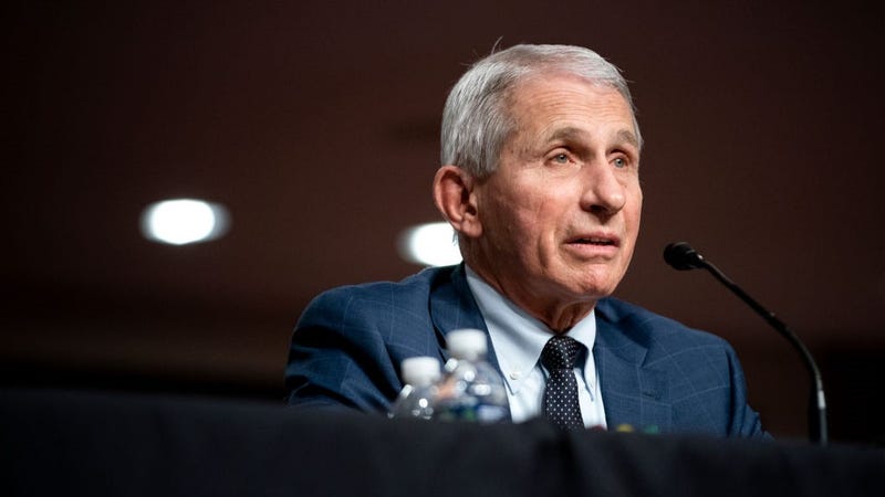 Dr. Anthony Fauci, White House Chief Medical Advisor and Director of the NIAID, testifies at a Senate Health, Education, Labor, and Pensions Committee hearing on Capitol Hill on January 11, 2022 in Washington, D.C.